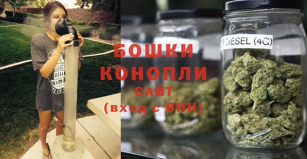 крисы Аркадак