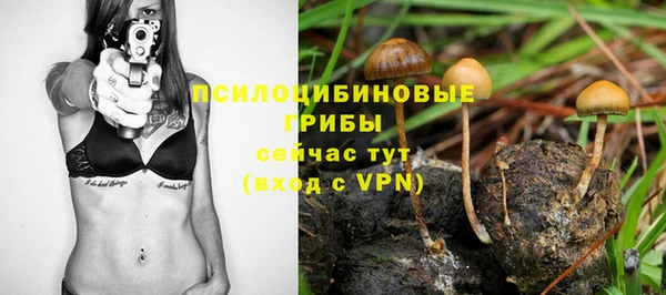 spice Арсеньев