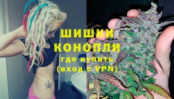 крисы Аркадак