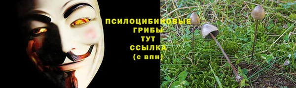 крисы Аркадак