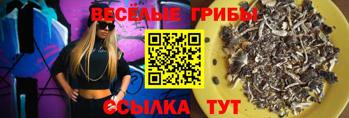 Галлюциногенные грибы MAGIC MUSHROOMS  Вход с VPN  Пушкино 